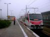 DSCN5317.JPG
